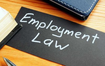 How Employment Lawyers Ensure An Employees Rights Are Protected and Receives Fair Treatment in the Workplace…