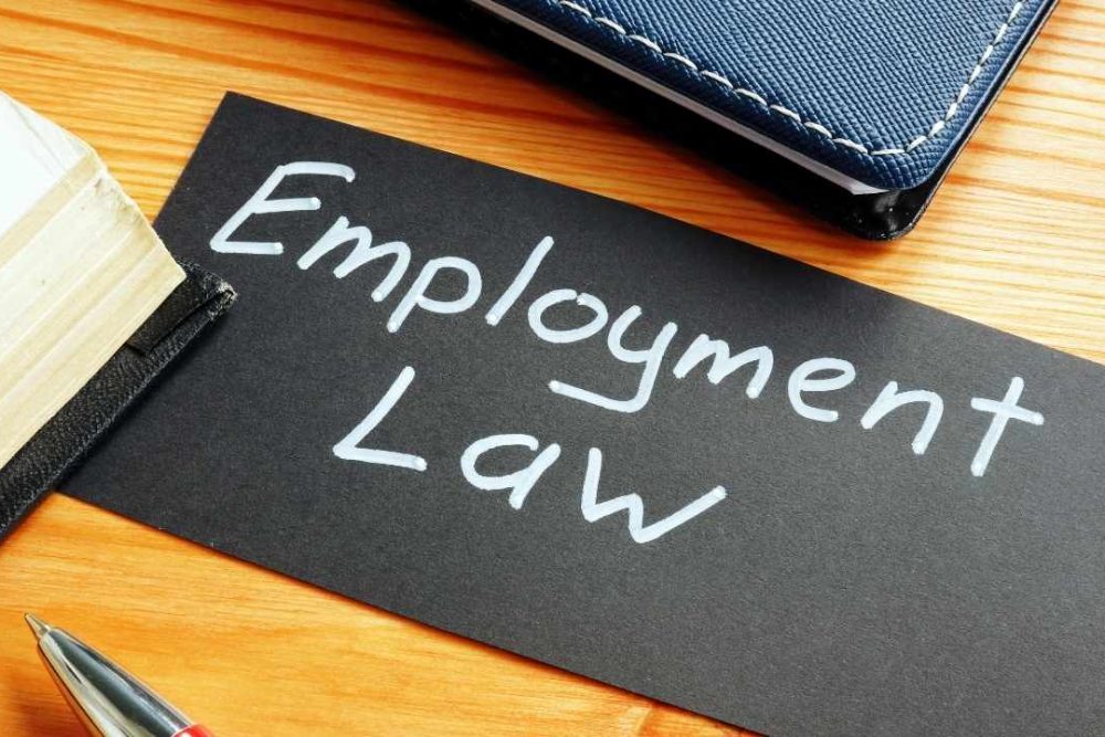 How Employment Lawyers Ensure An Employees Rights Are Protected and Receives Fair Treatment in the Workplace…